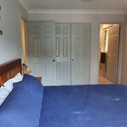 259515664.jpg